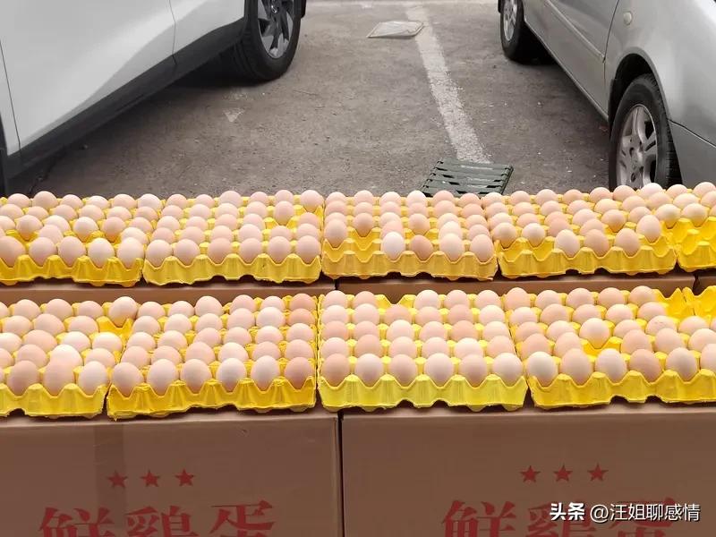 为什么“免费领鸡蛋”总能骗到老人？

菜市场门口，一筐鸡蛋支起小摊，“扫码免费领