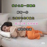木虎爱逛影视剧