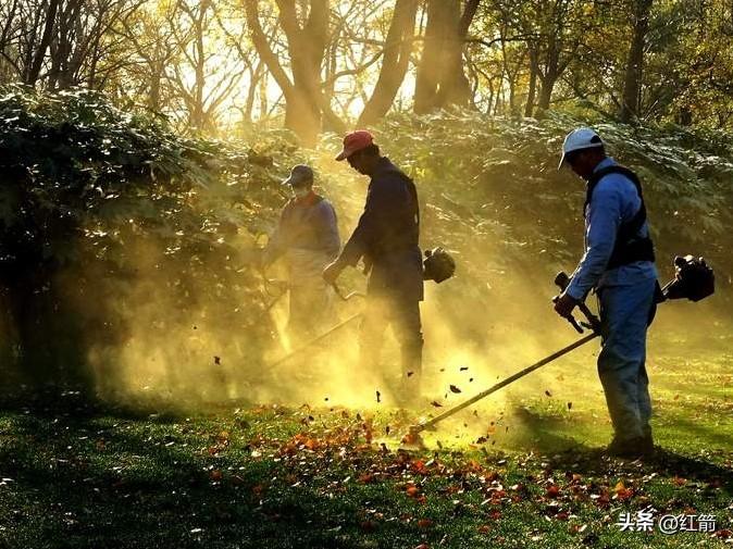 美以“割草”威胁伊朗？不过是虚张声势！
在美以与伊朗即将启动谈判之时，美以领导人