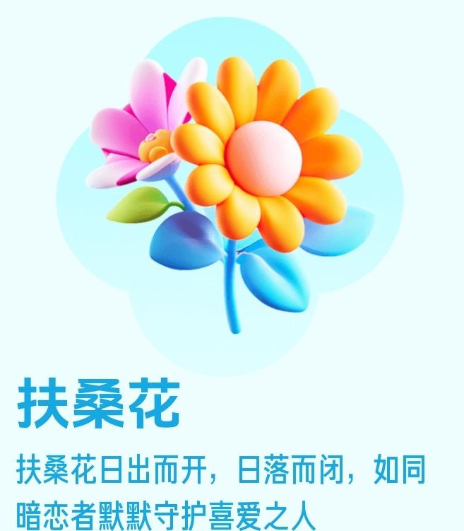 春暖花开，喜欢扶桑花，日出二开，日落而闭。像暗恋着，默默守护心里之人。