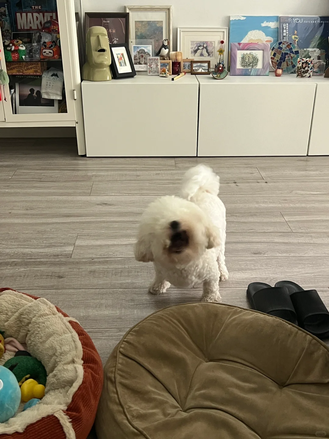 祝福就要大声的说出来！！！