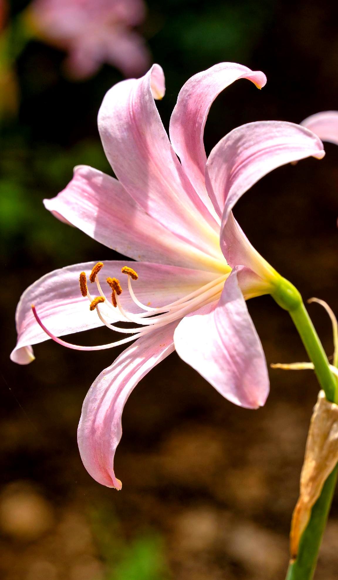 为啥有些人活得特别轻松通透？
说白了就是内心强大。
真正的心理强大可不是硬撑，而