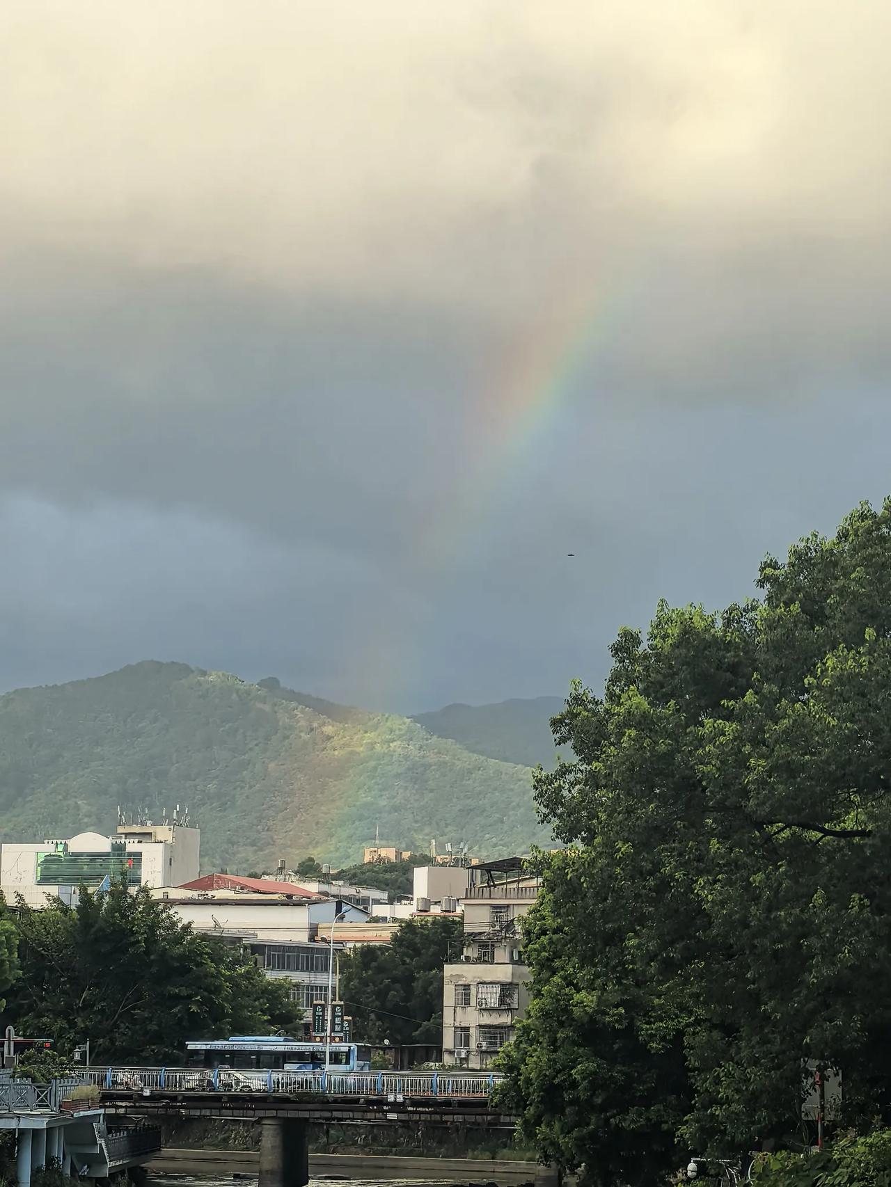 《七律～越夏秋思》

天边片刻彩虹羞，
野外随时玉雨悠。
我觉凌空多照夜，
谁知