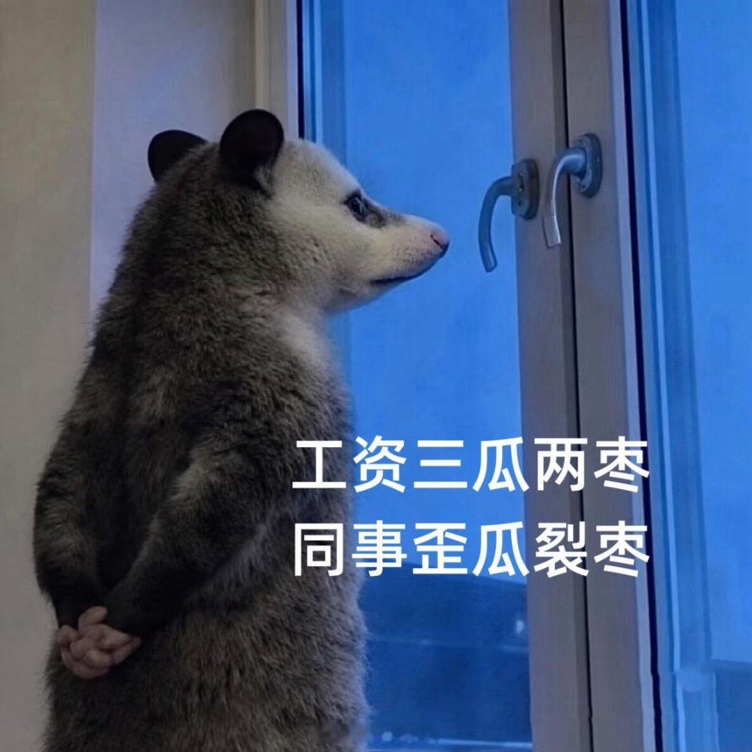 其实周三是最会装的 