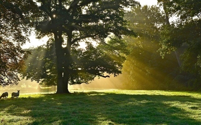 人生的前半段是拚命去经历，然后拿出一段日子，去死磕和反省这些经历，找出一个永不悔