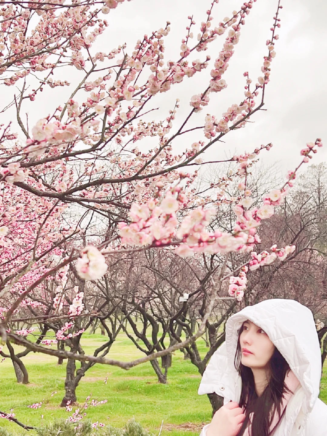 我不管‼️2月来武汉必去这9个赏梅点‼️附攻略