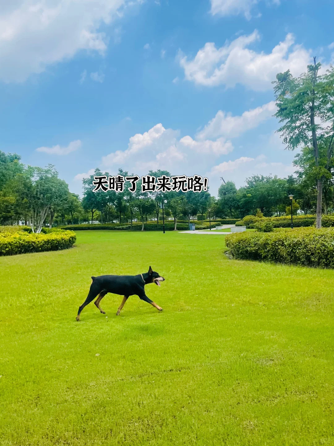 米卢！我服啦！我真服啦！