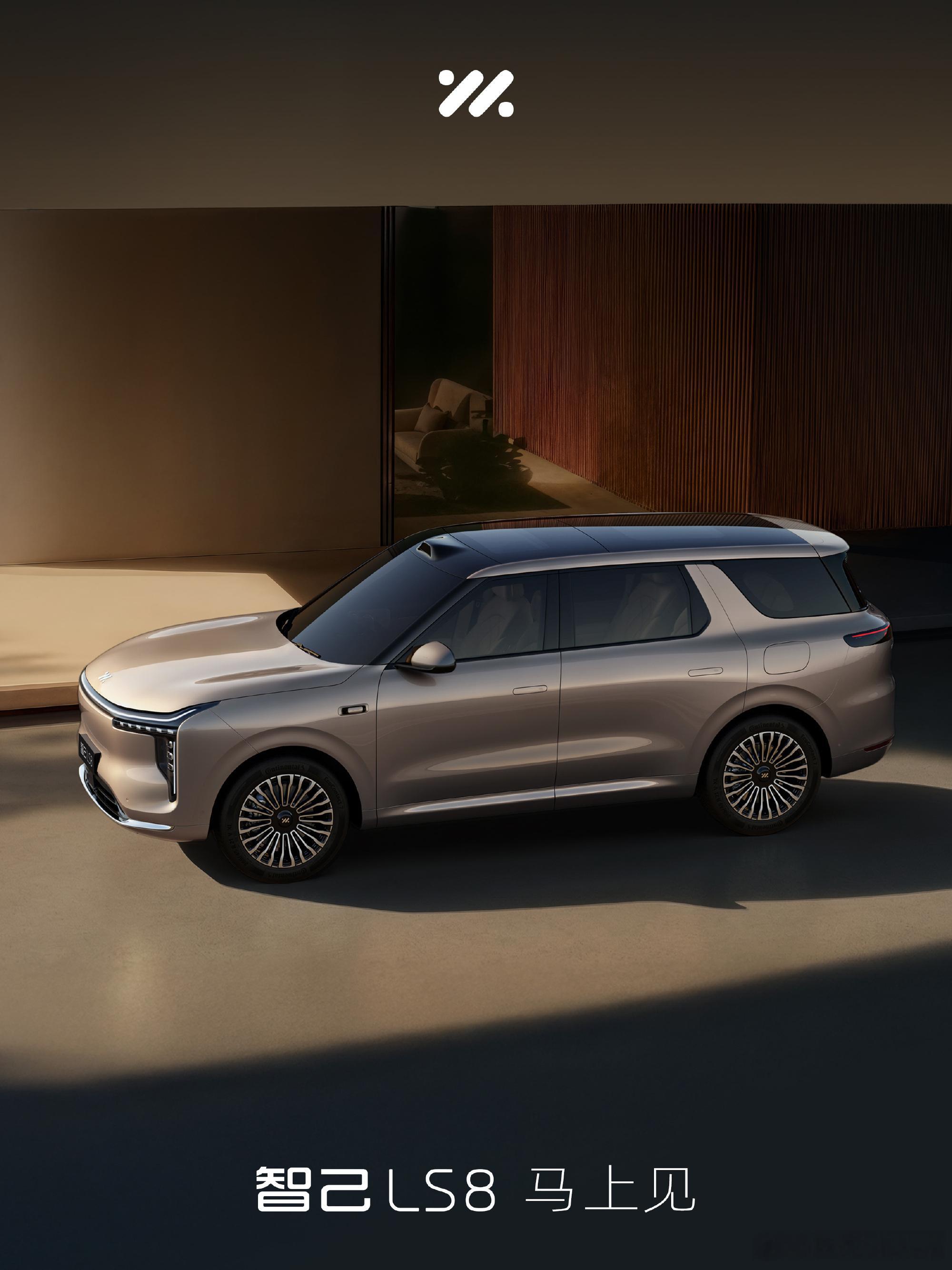 这个C柱造型有点意思啊智己