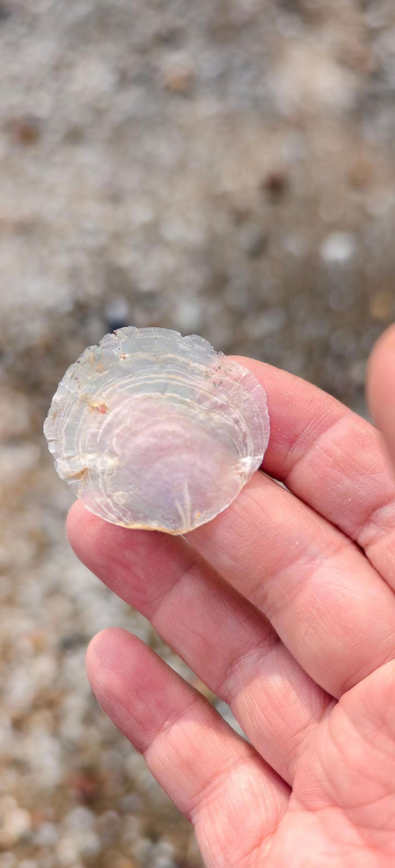 世间沧桑…安然无恙。心小了，小事就大了；心大了，大事就小了。看淡世间沧桑，内心安