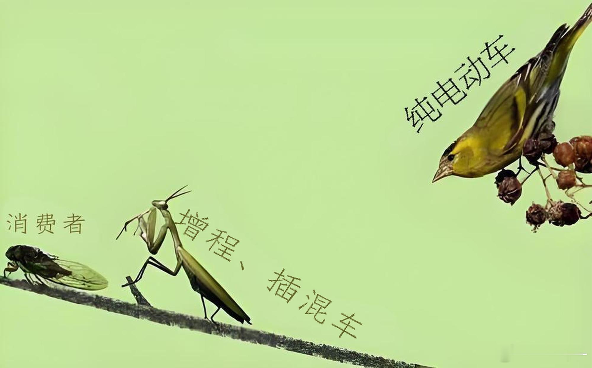 看了个市场调研，中短续航PHEV用户的换车意向，普遍偏向于纯电。现在看，不少车企