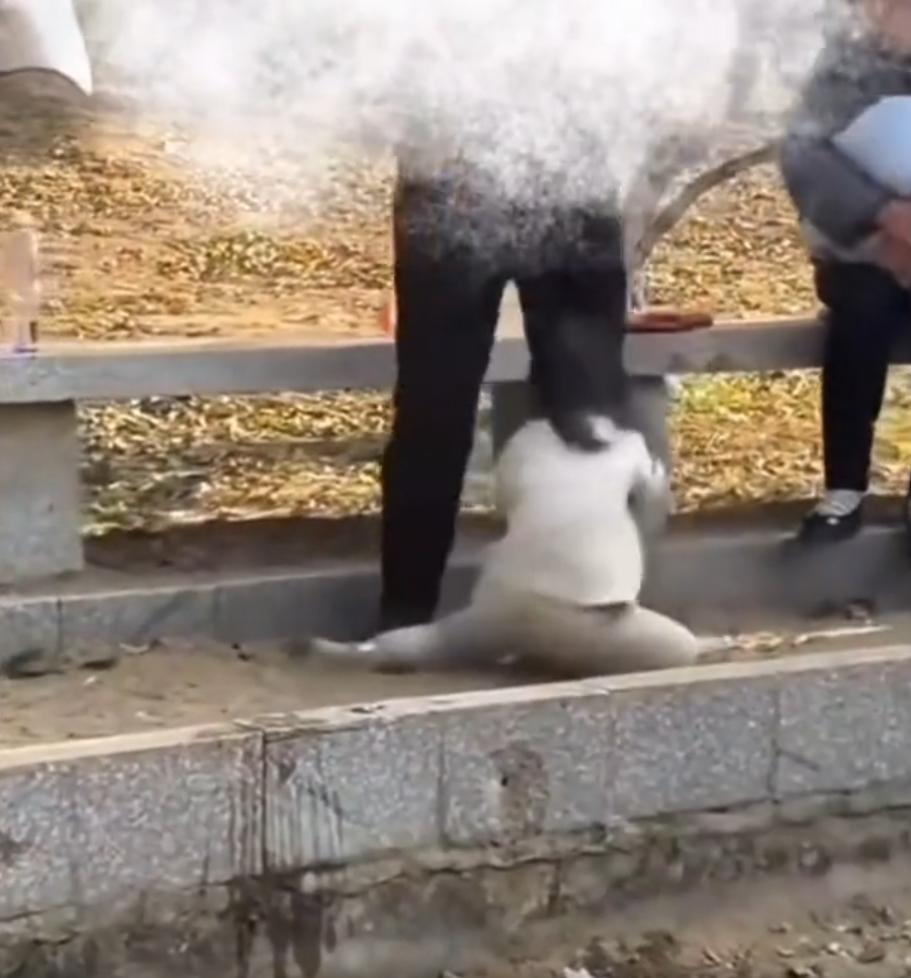 有点过分了！江苏苏州，一老人带着孩子在沙地玩耍，不料，期间孩子又哭又闹，老人竟然