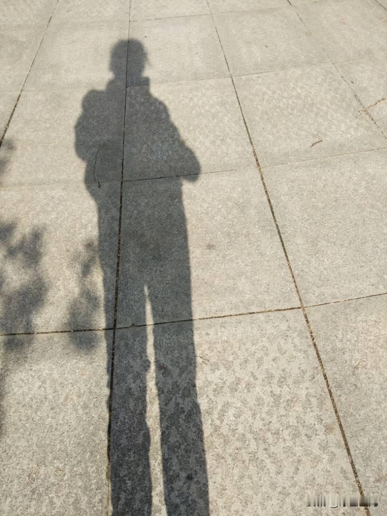 夜晚藏着无尽魅力
我总爱随手拍夜色
有时候睡不着时
就会走到自己小院里
静静地看