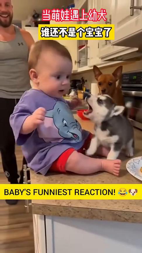 当萌娃遇上幼犬，谁还不是个宝宝了。
BABY'S FUNNIEST REACTI
