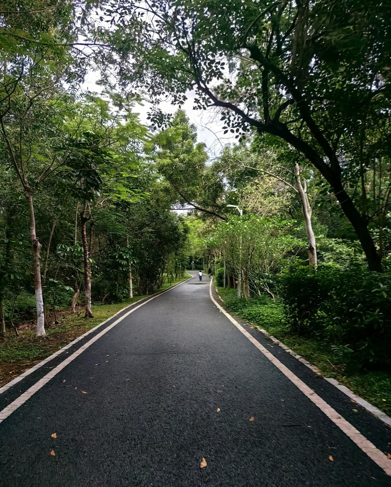 不要再认为跑步有多好了，它的一个坏处足以致命，还是要慎重点好。
很多人都在从理论