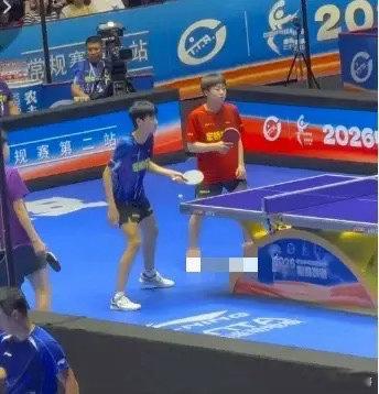 魏桥彻底躺赢！横打竖打都是赢！谁上场都行，不打也是赢！反正结果都要赢，现在已经9