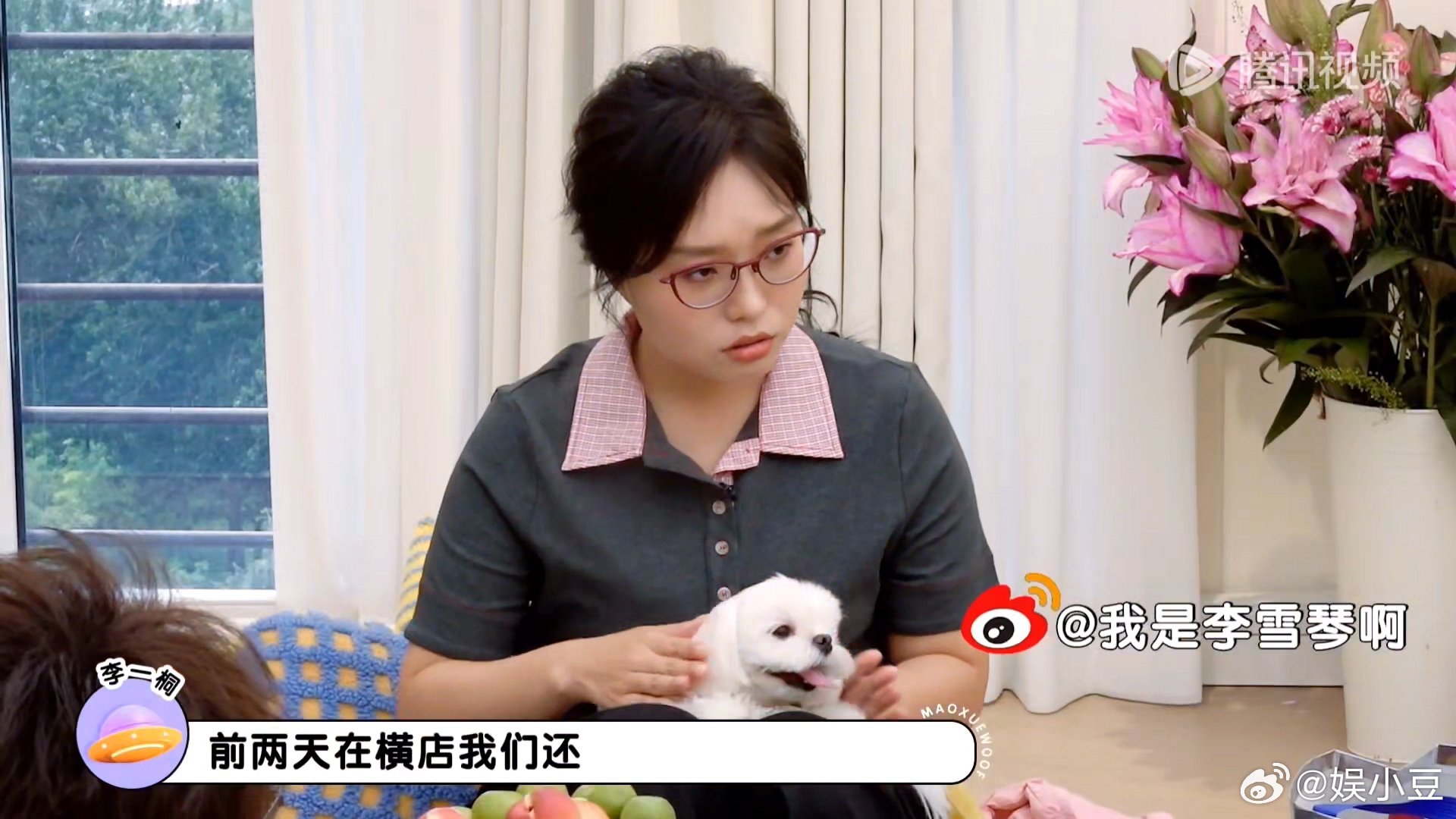 李一桐檀健次的狗狗桃园三结义了李一桐檀健次的狗狗横店三结义有了新的狗狗朋友了 ​