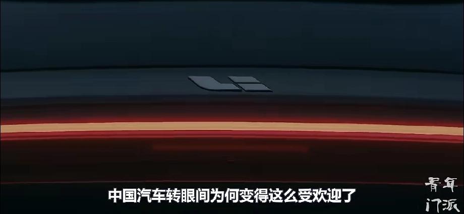 到底哪些国家在买中国车 现在中国车真的卖遍全球啦！2025 年 1 - 11 月