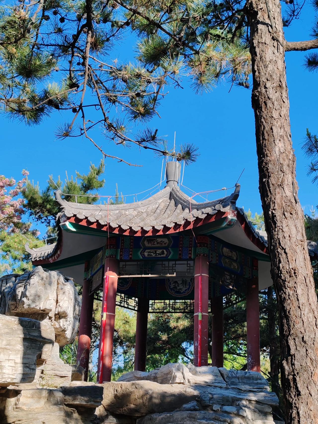 分享一下你随手拍的照片