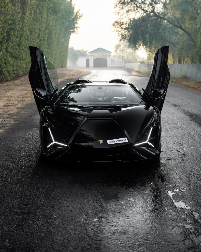 在闪电的荣耀之下，此刻，Sián 独占这光芒。Sián Roadster 这款超