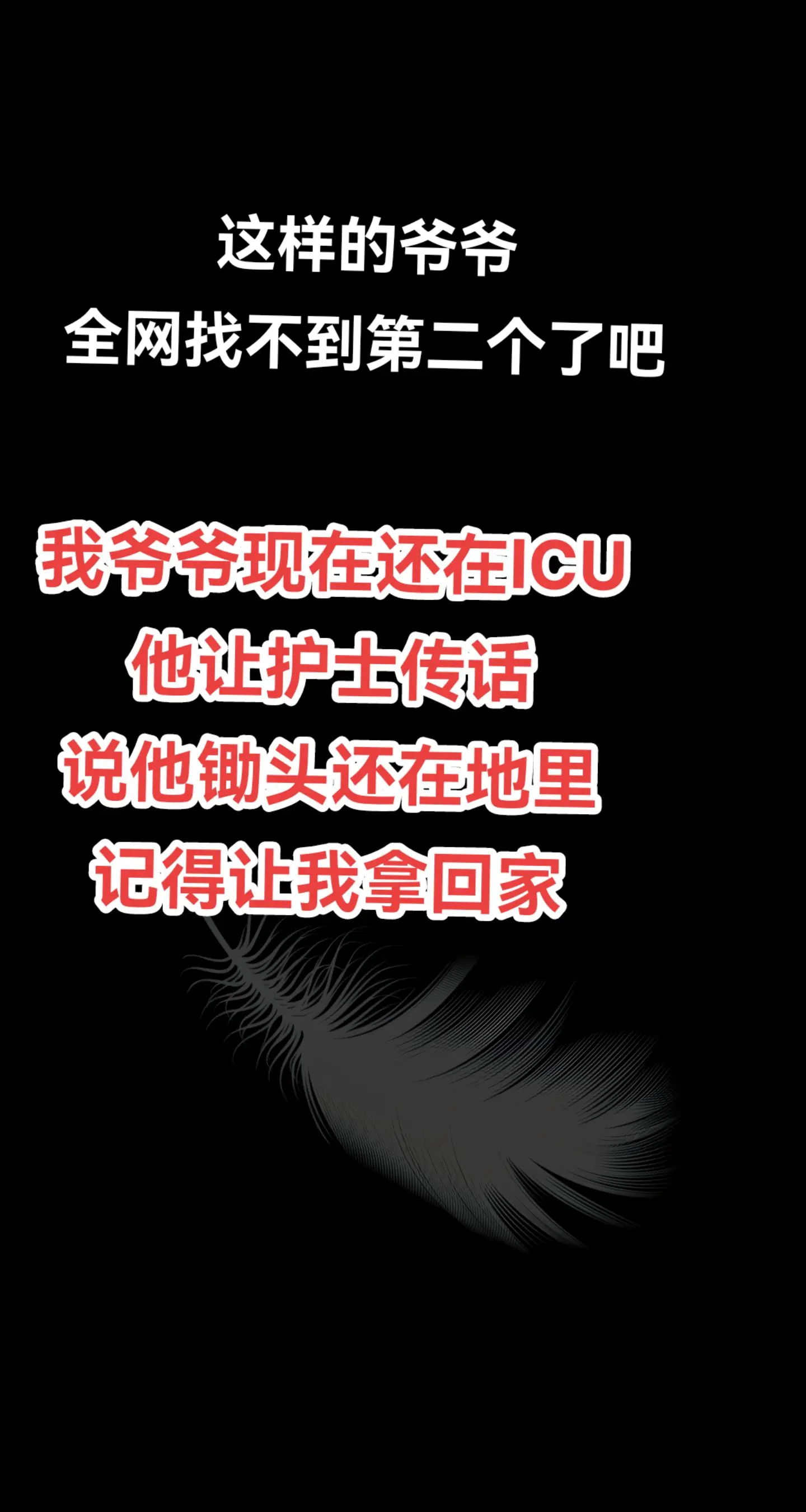 农村生活 百姓生活 记录平凡生活