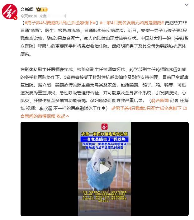 男子养4只鹦鹉3只死亡后全家倒下鹦鹉死亡后未及时消毒环境，导致全家感染。医生强调