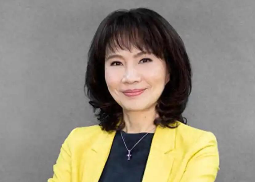 陈凤馨，她说：“全世界都可以欺负台湾，但只要大陆出面阻止，你们立刻跳出来指责。日