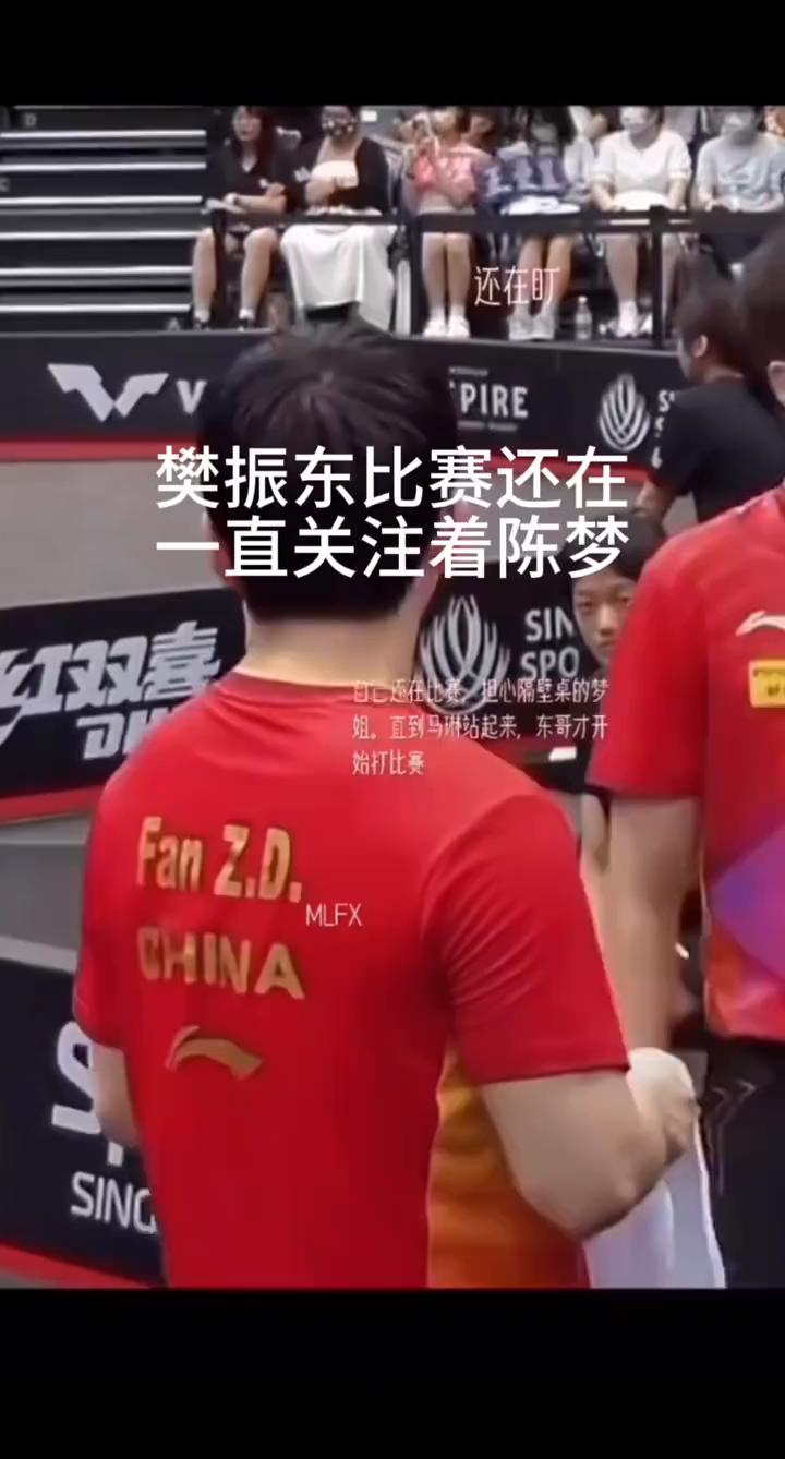 樊振东比赛还在，一直关注着陈梦。
强推！