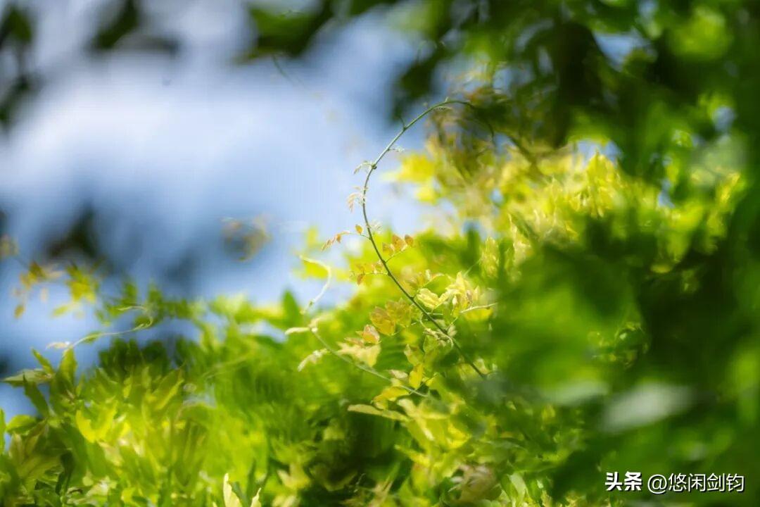 初秋的感受