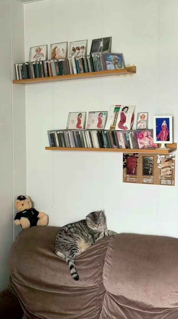 🐱慵懒午后，猫主子瘫成沙发上的云朵☁️。老CD在架子上沉默如诗📀，小熊警官守