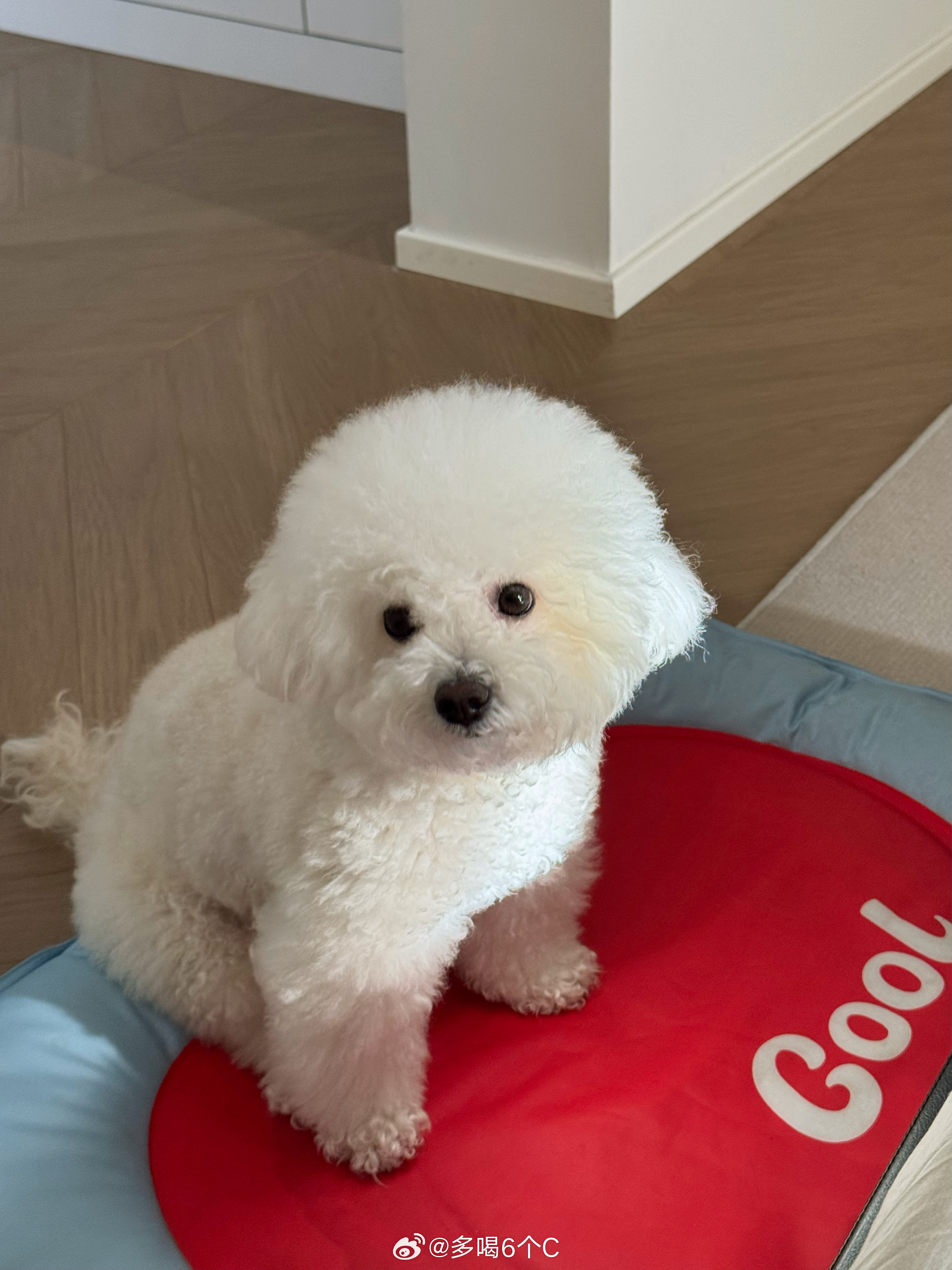 又怎么了我的大小姐还没到你的用餐时间