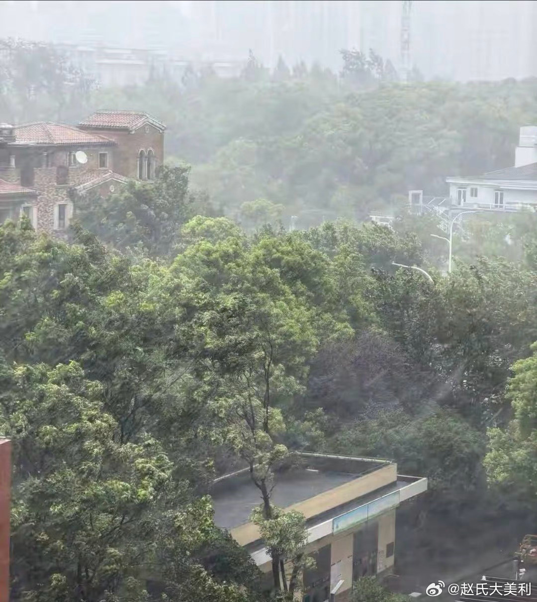 白海豚 上班此刻的我正躺在床上，外面狂风暴雨，风叫的那个大啊，祝所有在外的人都平