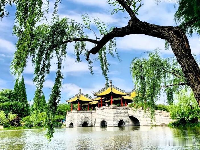为扬州点赞！48小时极速落地硬核黑科技项目
 
作为土生土长的扬州人，今早细读《