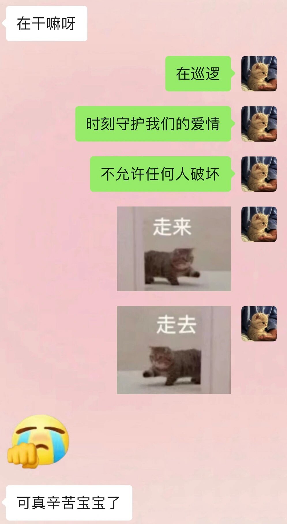 《当男朋友问在干嘛时》 ​​​