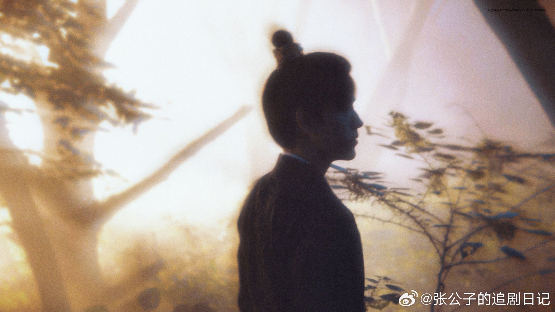 陈飞宇早该演将军了白日提灯陈飞宇这身段气质，简直是为少年将军量身定做！《白日提灯