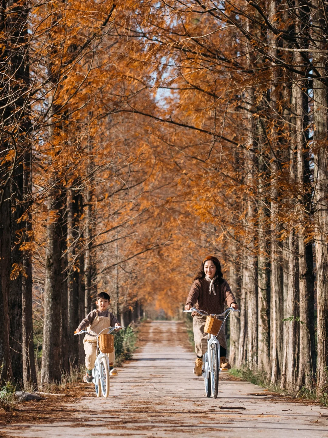 秋日溜娃图鉴🍁景德镇秋天的正确打开方式