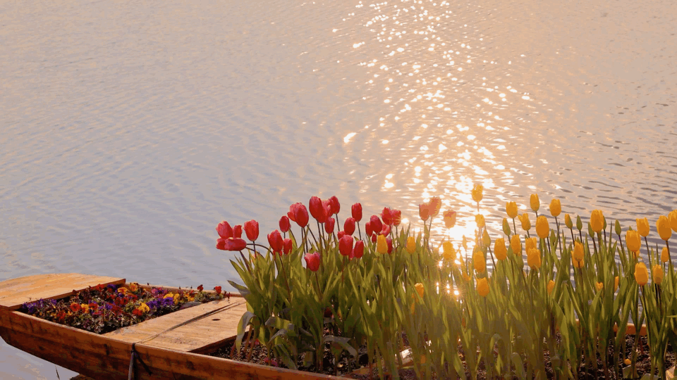 #早安# 只要来日可期，今天就值得欣喜。 