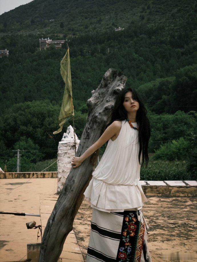 春夏向上而生的花 春夏：在海拔4000米找花，比在微博找对象还难！[doge] 