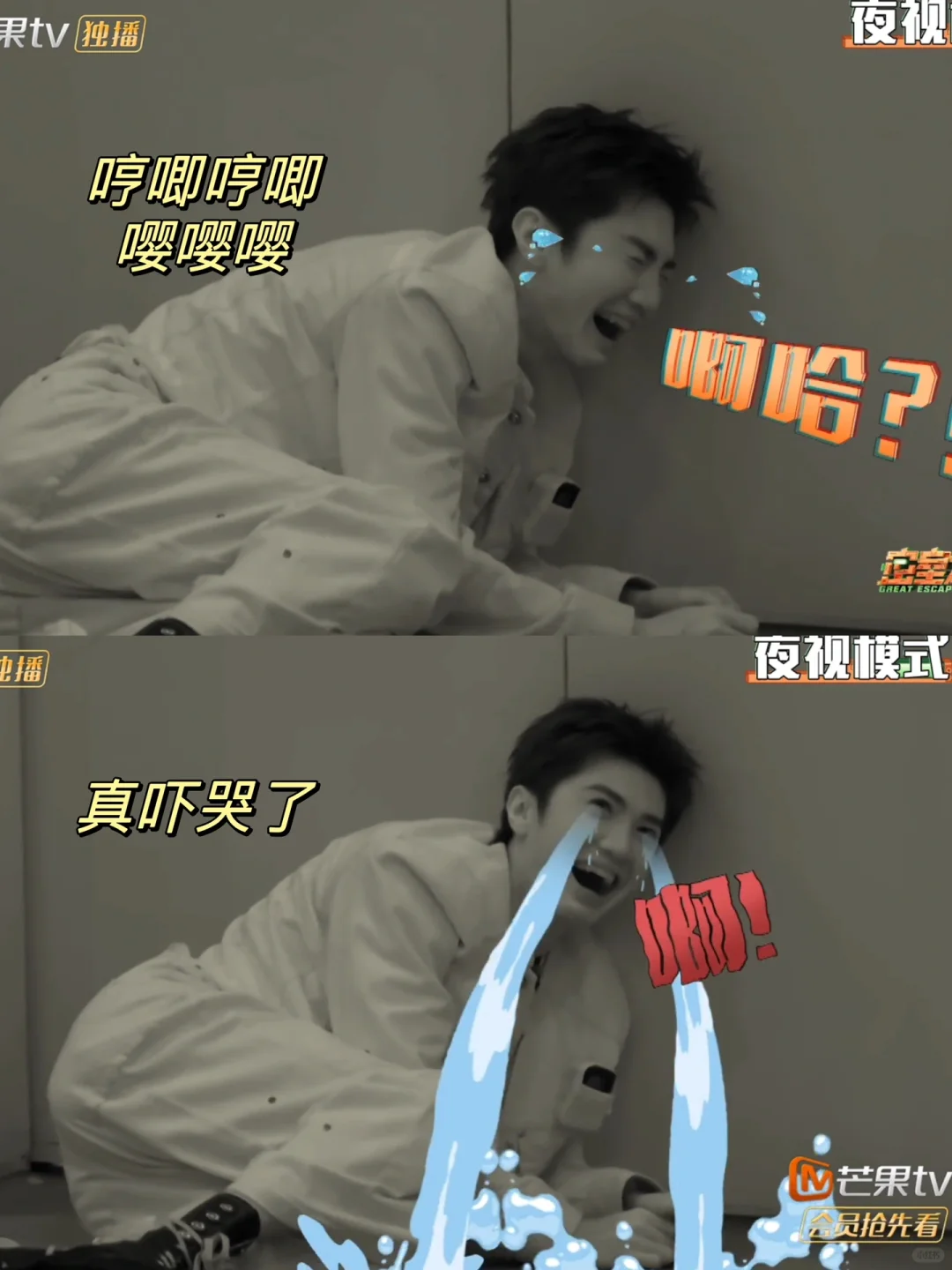 密室三怂🔥彭昱畅陈哲远许凯不要太好笑‼️