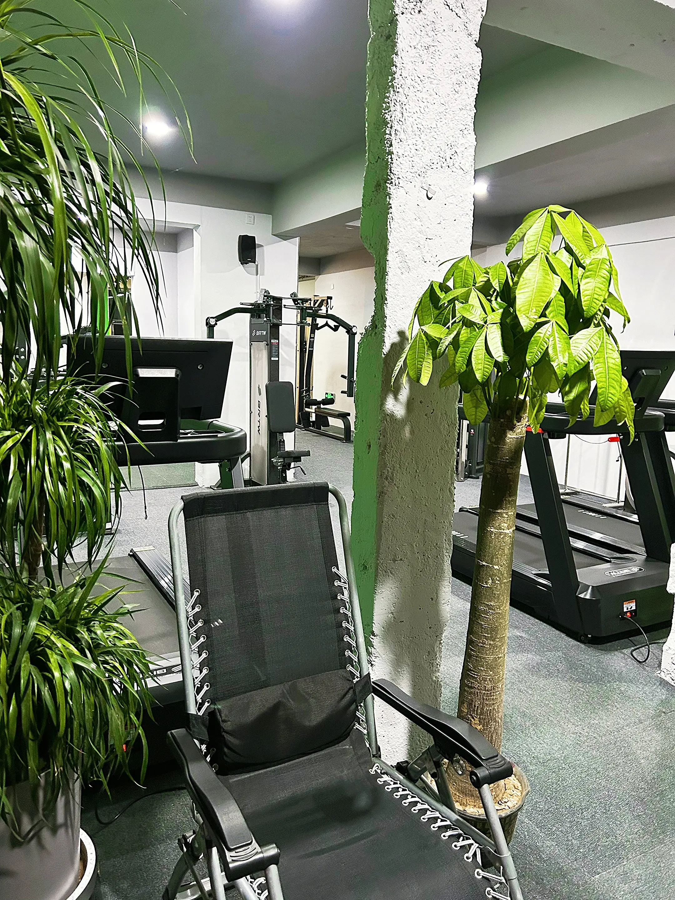 健身🏋️‍♀️跑步🏃。