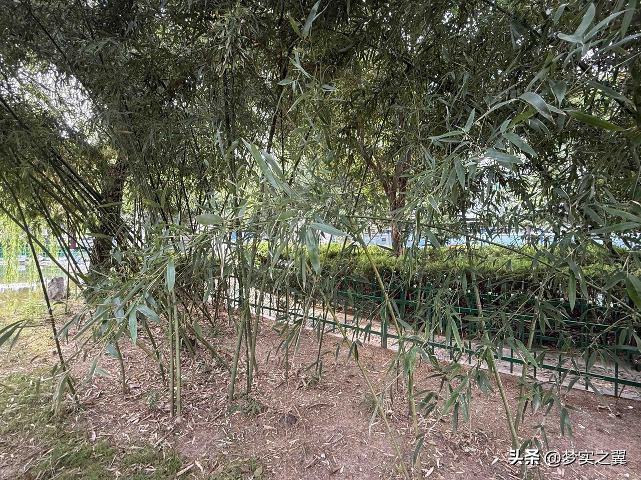 【小对联】
上：说到底；
下：……？