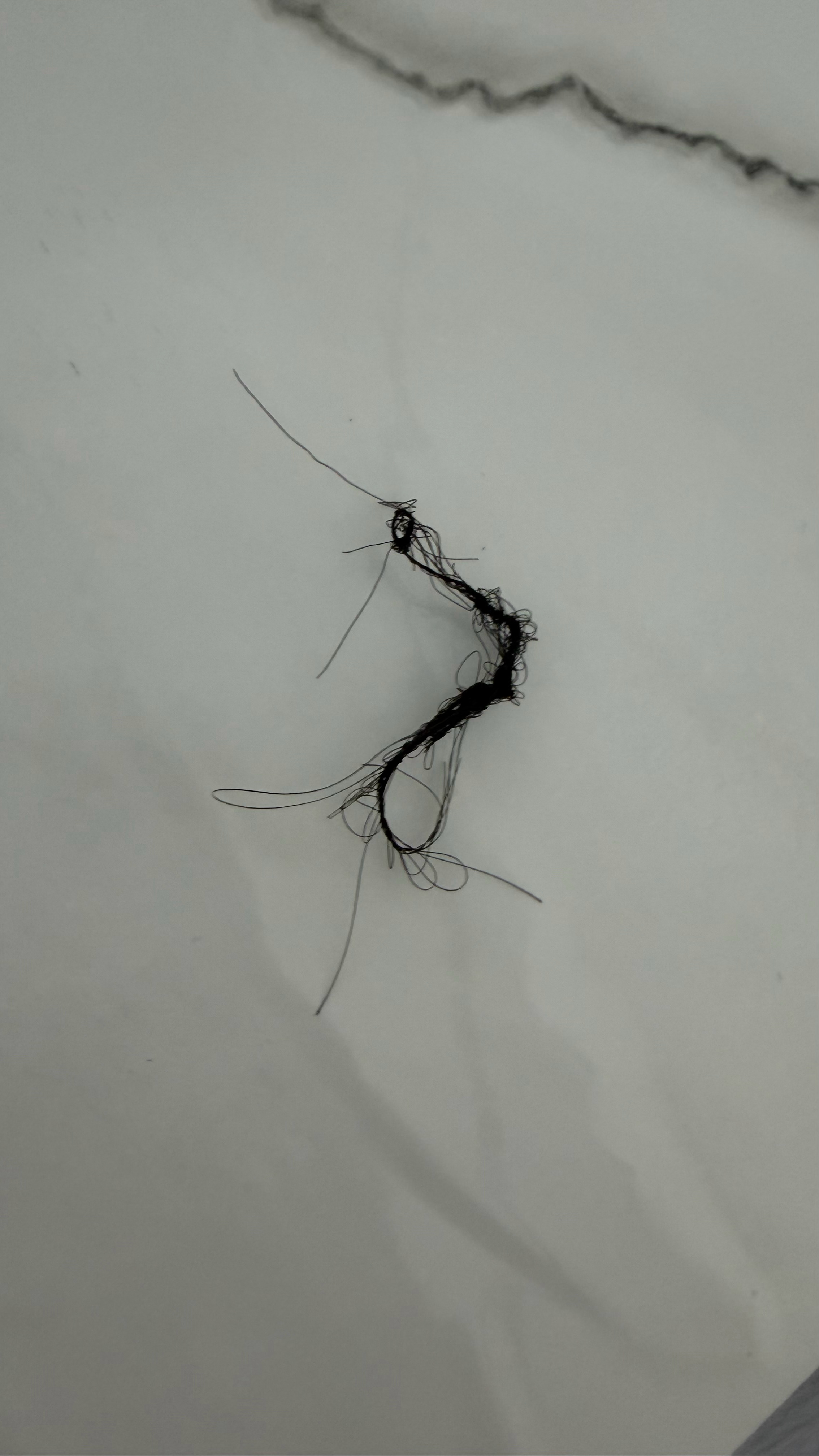 我草没招了 