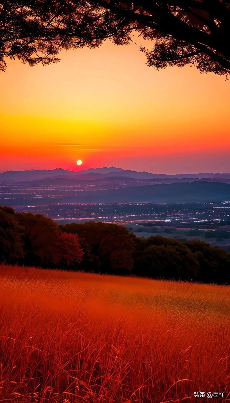 日常为王，时间是王；恐慌为王，安全是王；动荡为王，退路是王；末日为王，种子是王。