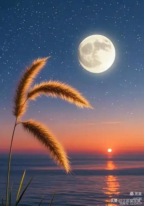 上联：天高悬日月
“天高”写出天空的高远辽阔，也象征格局开阔、眼界向上。
 “悬