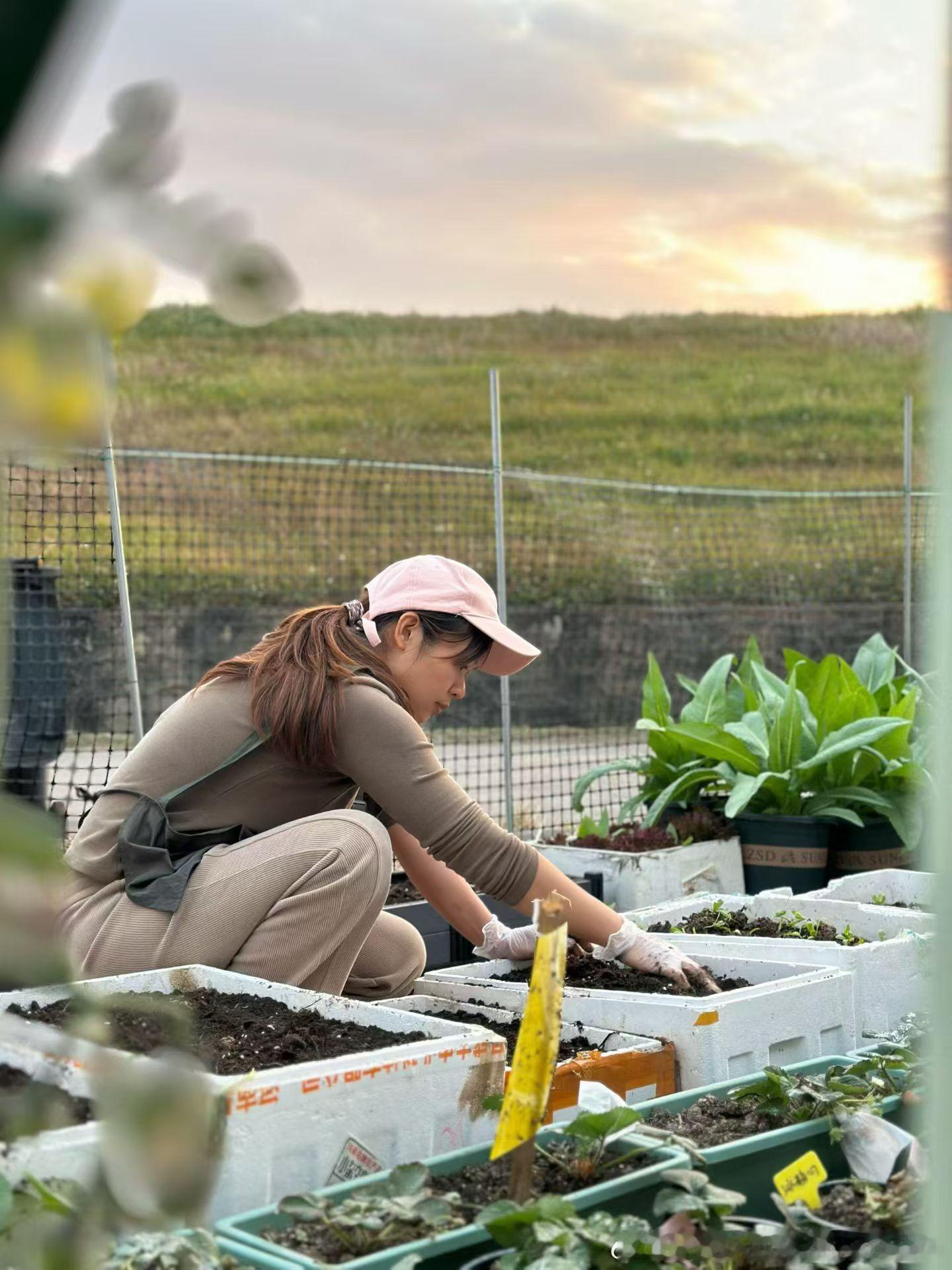 自给自足的一天荔枝柴烧的面包 