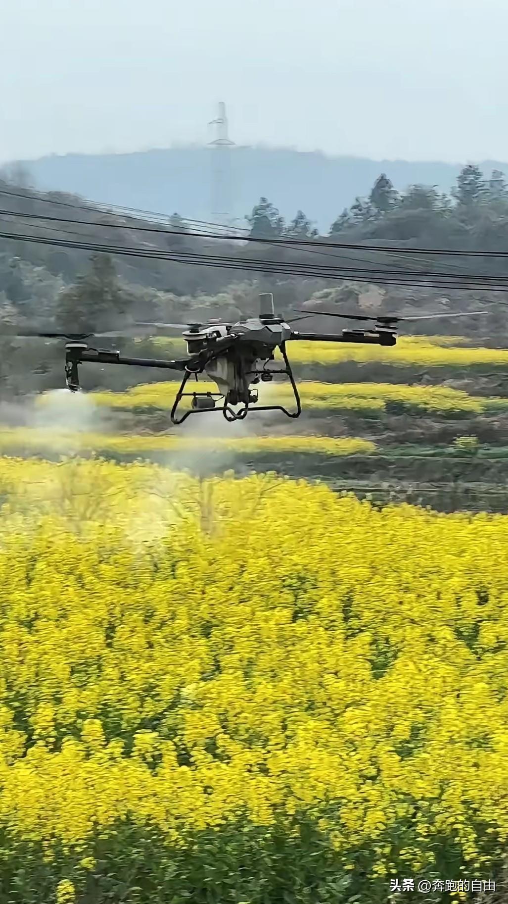 别再洗了！洗不白！
这两天突然齐刷刷冒出来一堆替无人机喷药洗地的文章，像接到统一