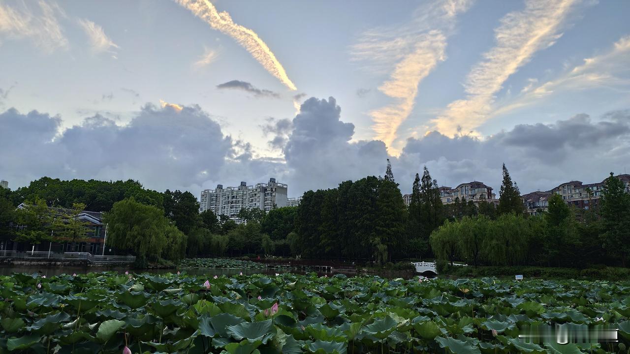 分享一下你随手拍下的照片祥云似带空中舞