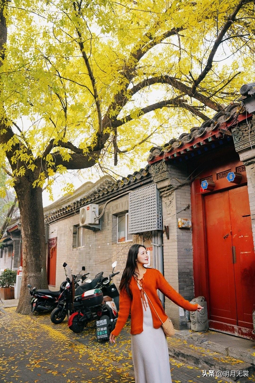 秋日漫步，红门黄叶，古韵悠长。