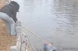 冬日河畔的跪地一托：当平凡人突然成为超级英雄那天长垣市的阳光很好，像极了电影《肖