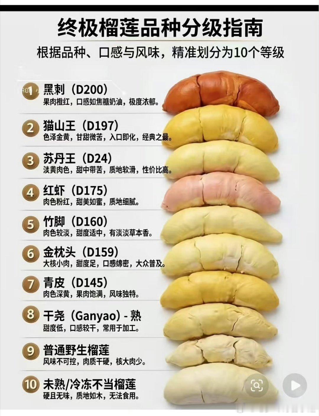 你们喜欢哪款榴莲