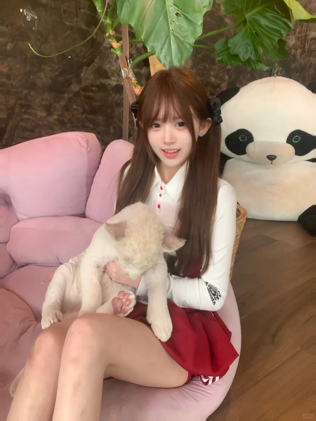 小狮几🦁️ᶻ 𝘇  🐾₊⁺